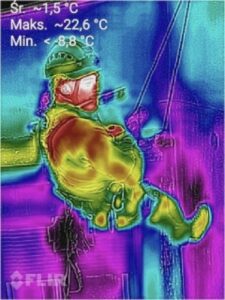 893959E8-DAB1-4F59-A994-0AEDC80F71E9_4_5005_c